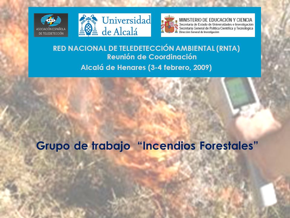 Grupo de trabajo Incendios Forestales