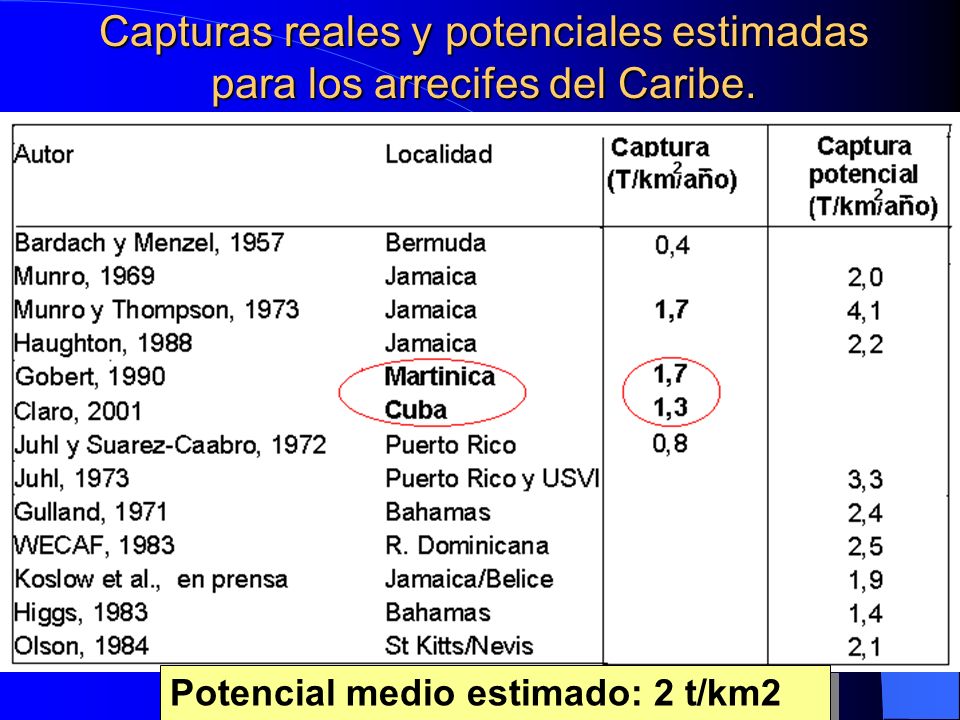 Capturas reales y potenciales estimadas para los arrecifes del Caribe.