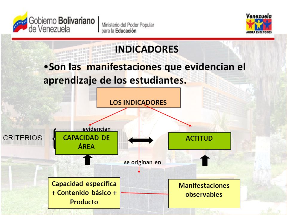 INDICADORES Son las manifestaciones que evidencian el aprendizaje de los estudiantes. LOS INDICADORES.