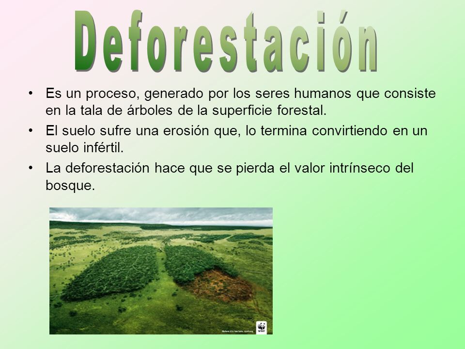 Deforestación Es un proceso, generado por los seres humanos que consiste en la tala de árboles de la superficie forestal.