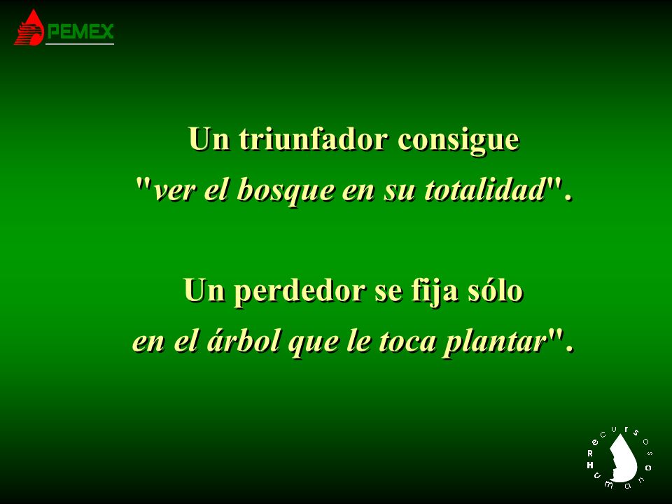 Un triunfador consigue ver el bosque en su totalidad .