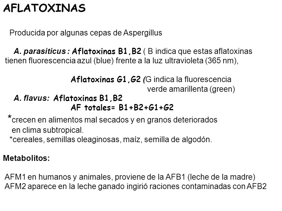 *crecen en alimentos mal secados y en granos deteriorados