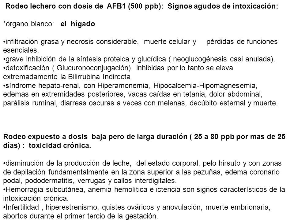 Rodeo lechero con dosis de AFB1 (500 ppb): Signos agudos de intoxicación: