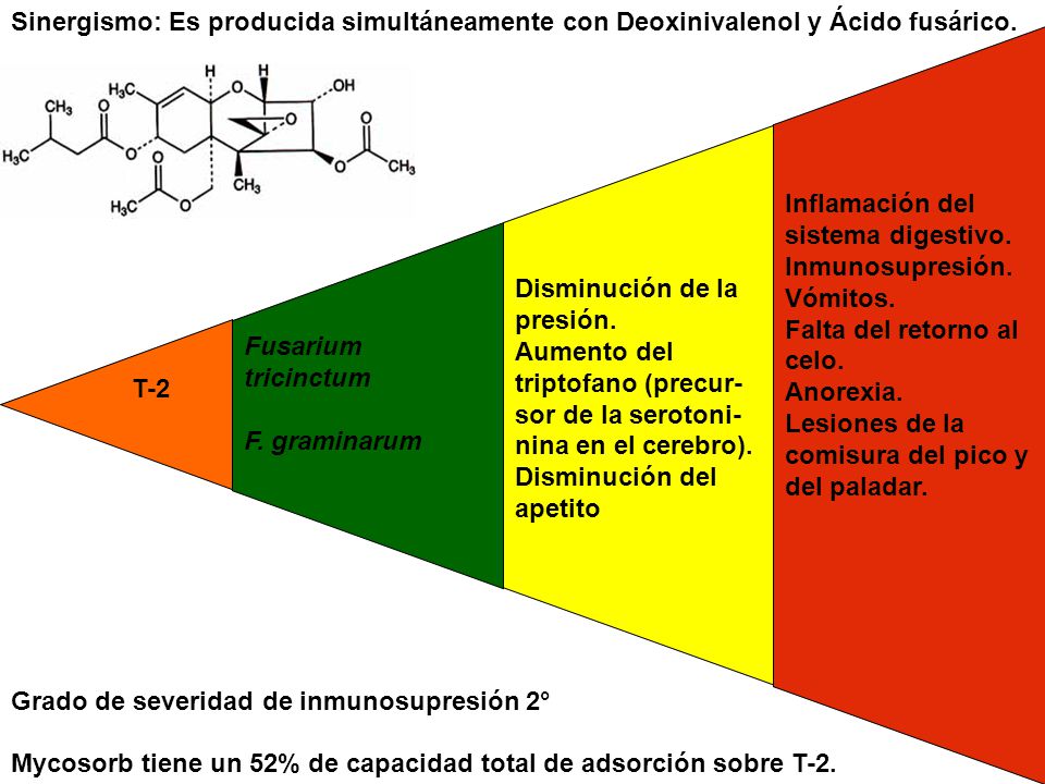 T-2 Fusarium tricinctum. F. graminarum. Disminución de la presión. Aumento del triptofano (precur-