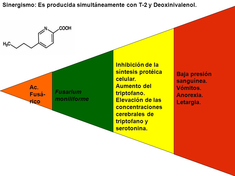Ac. Fusá- rico Fusarium moniliforme. Inhibición de la síntesis protéica celular. Aumento del triptofano.