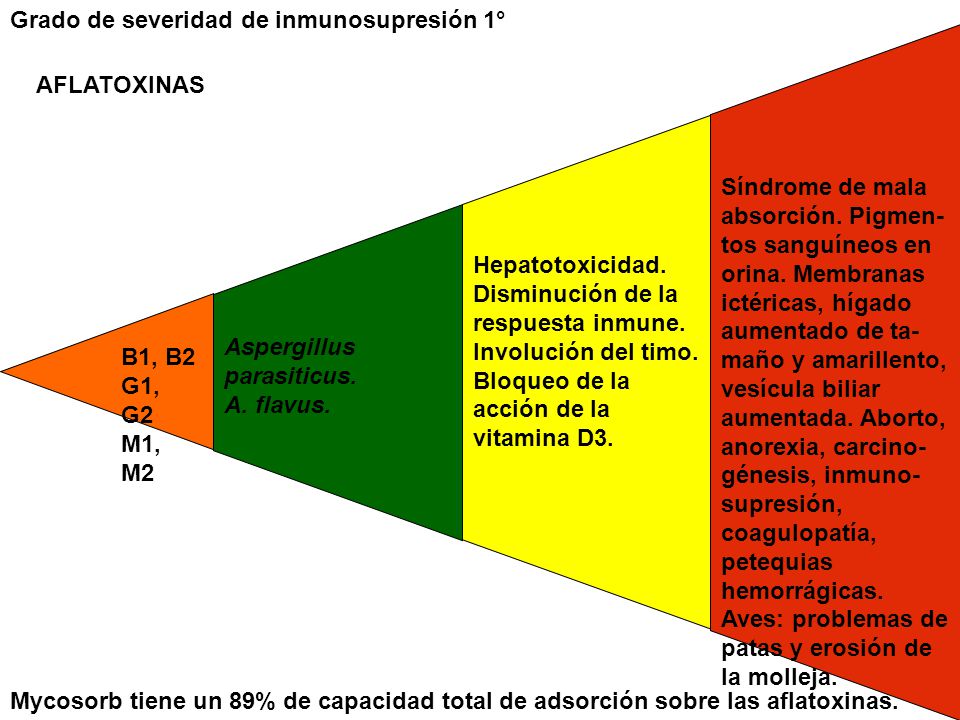 B1, B2 G1, G2 M1, M2. Aspergillus parasiticus. A. flavus. Hepatotoxicidad. Disminución de la respuesta inmune.