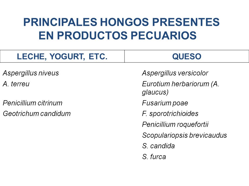 PRINCIPALES HONGOS PRESENTES EN PRODUCTOS PECUARIOS