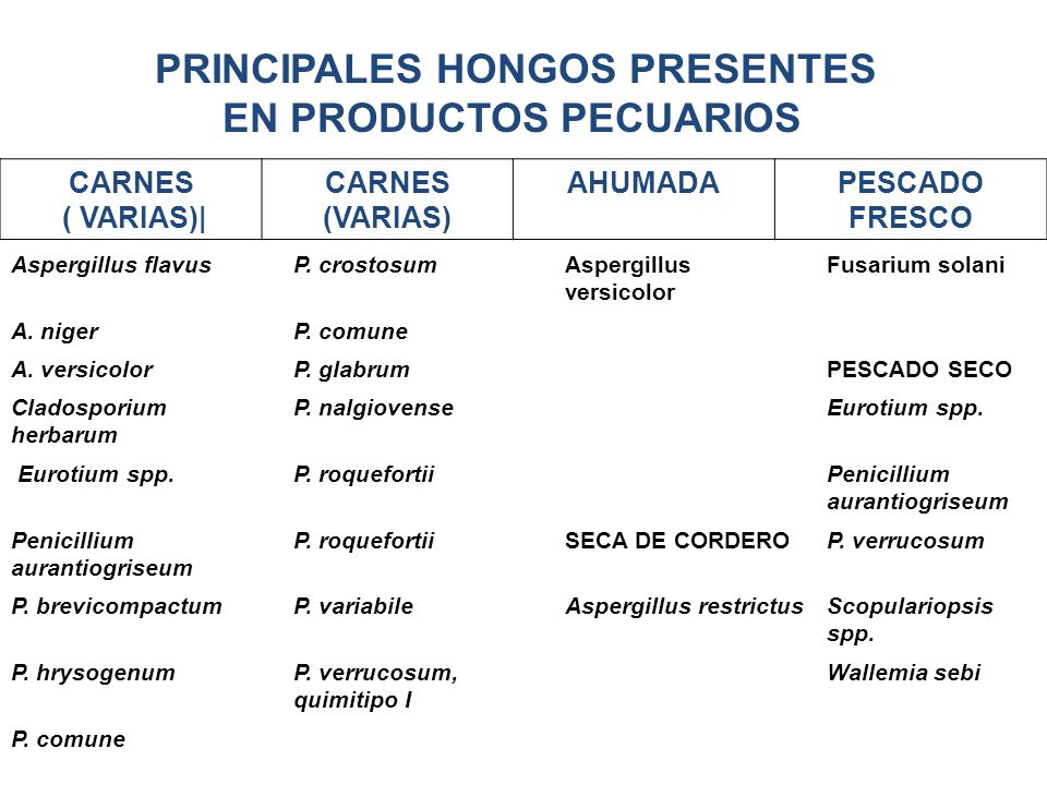 PRINCIPALES HONGOS PRESENTES EN PRODUCTOS PECUARIOS