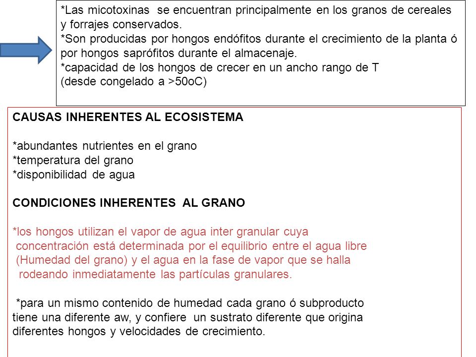*Las micotoxinas se encuentran principalmente en los granos de cereales y forrajes conservados.