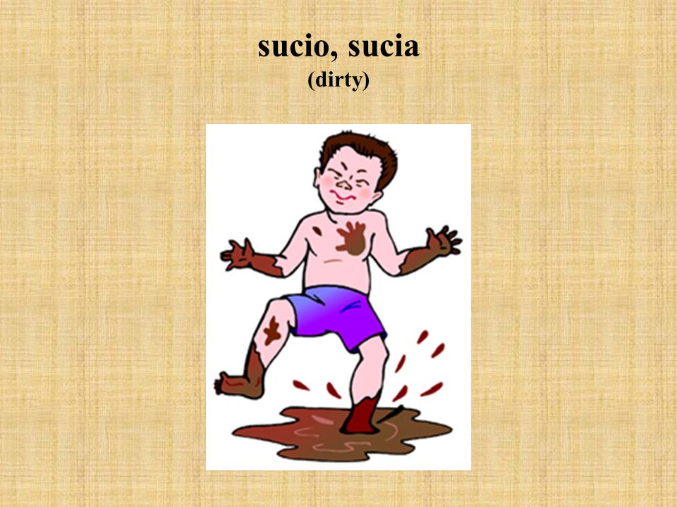 sucio, sucia (dirty)
