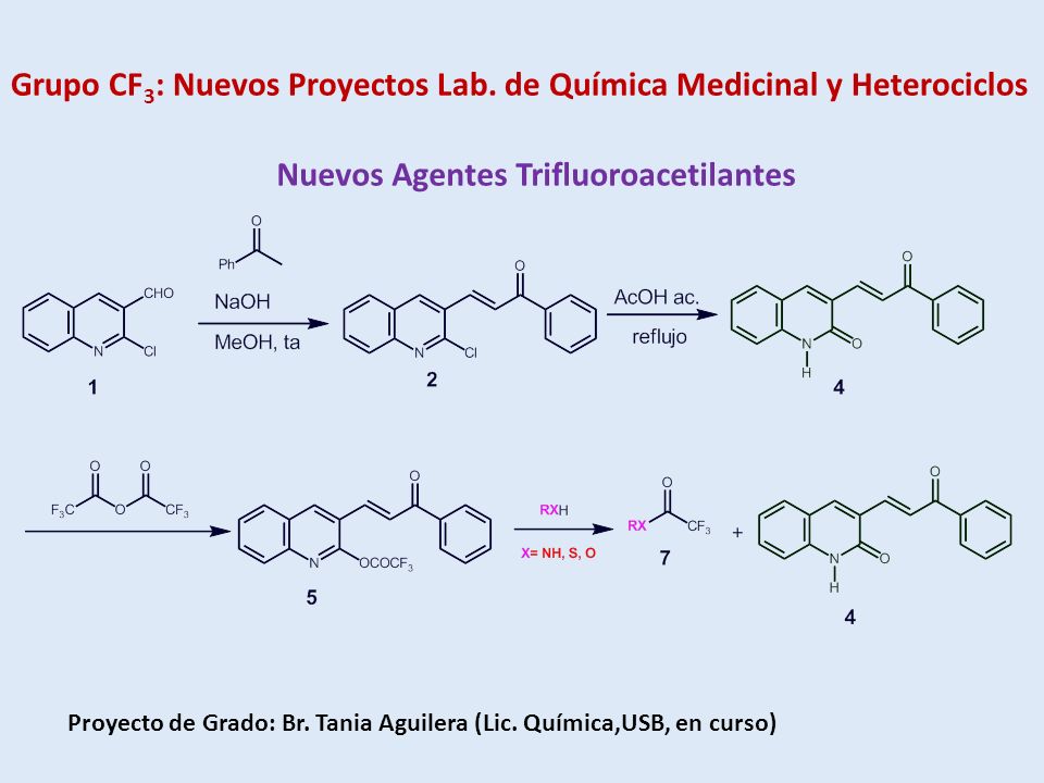 Grupo CF3: Nuevos Proyectos Lab. de Química Medicinal y Heterociclos