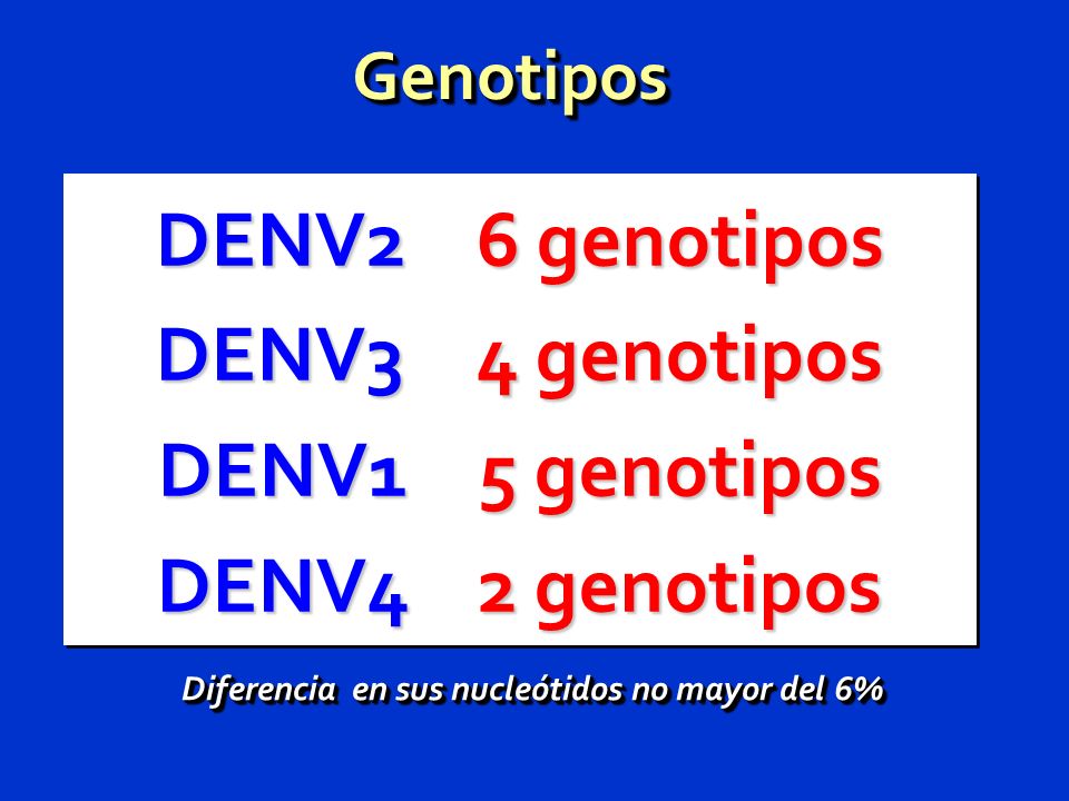 Diferencia en sus nucleótidos no mayor del 6%