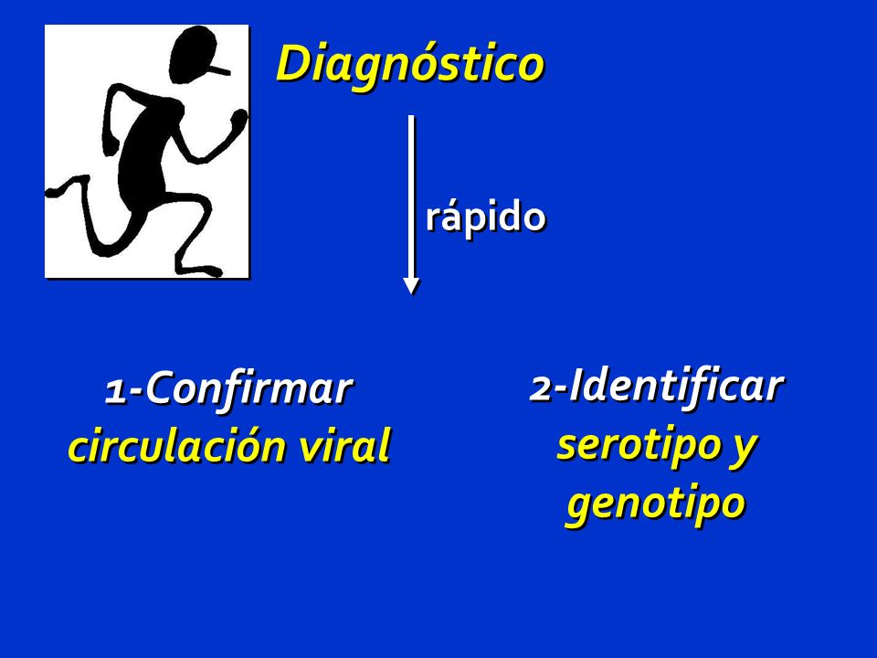 1-Confirmar circulación viral 2-Identificar serotipo y genotipo