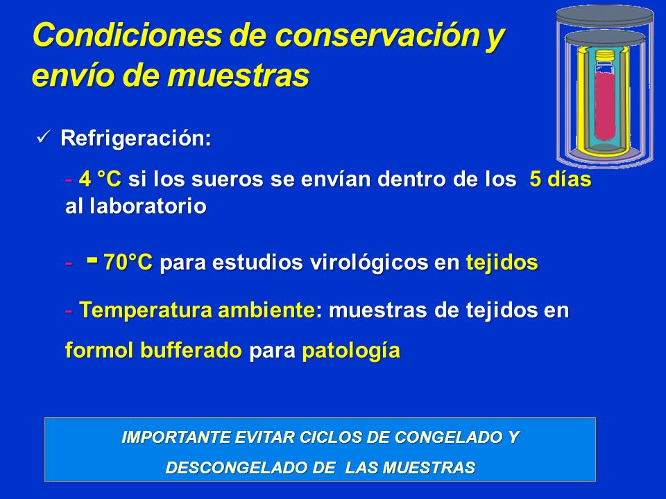 IMPORTANTE EVITAR CICLOS DE CONGELADO Y DESCONGELADO DE LAS MUESTRAS