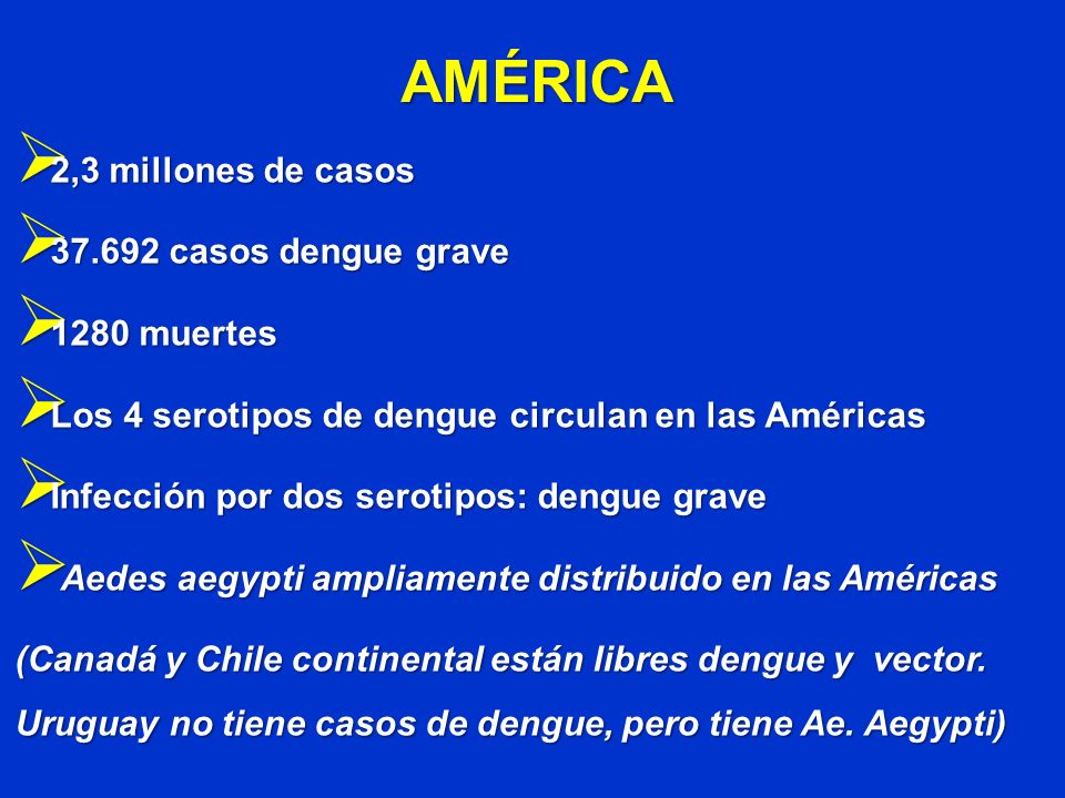 AMÉRICA 2,3 millones de casos casos dengue grave 1280 muertes
