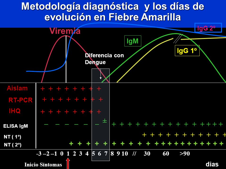Metodología diagnóstica y los días de evolución en Fiebre Amarilla