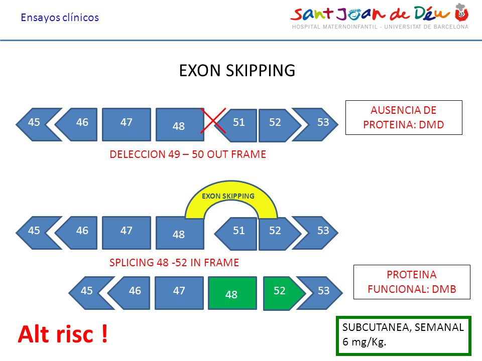 Alt risc ! EXON SKIPPING Ensayos clínicos AUSENCIA DE PROTEINA: DMD 51