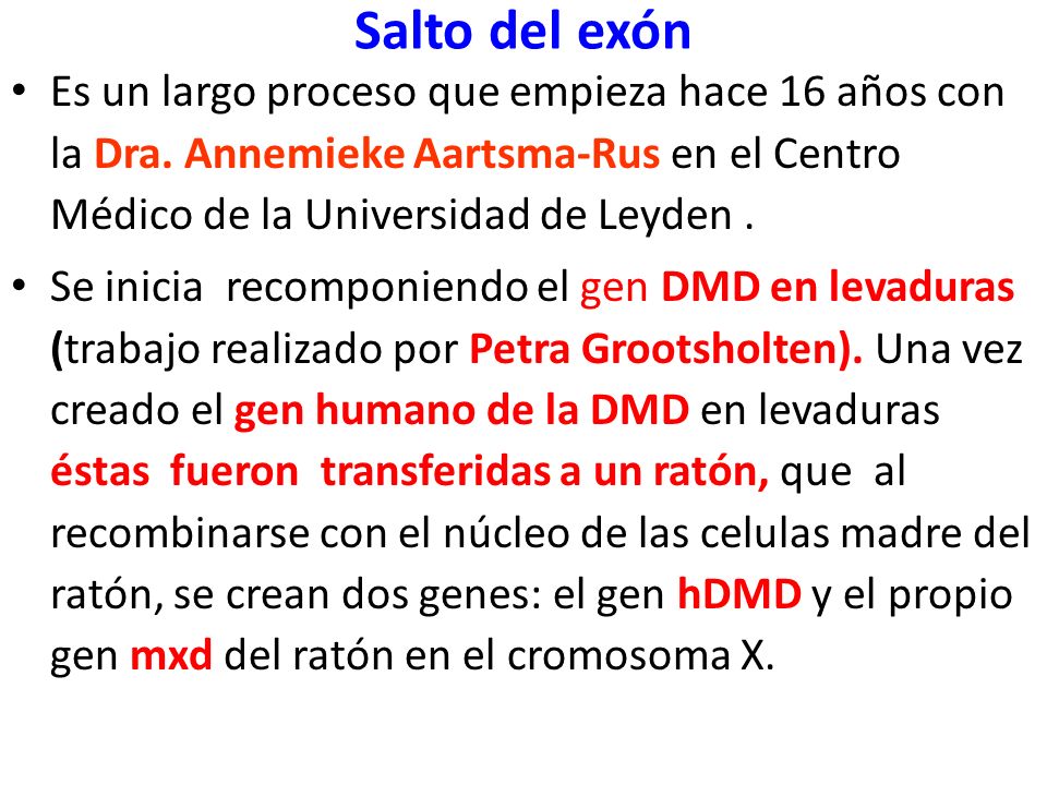 Salto del exón Es un largo proceso que empieza hace 16 años con la Dra. Annemieke Aartsma-Rus en el Centro Médico de la Universidad de Leyden .