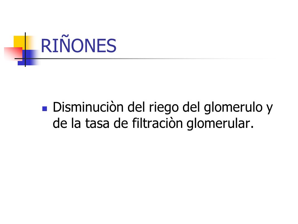 RIÑONES Disminuciòn del riego del glomerulo y de la tasa de filtraciòn glomerular.