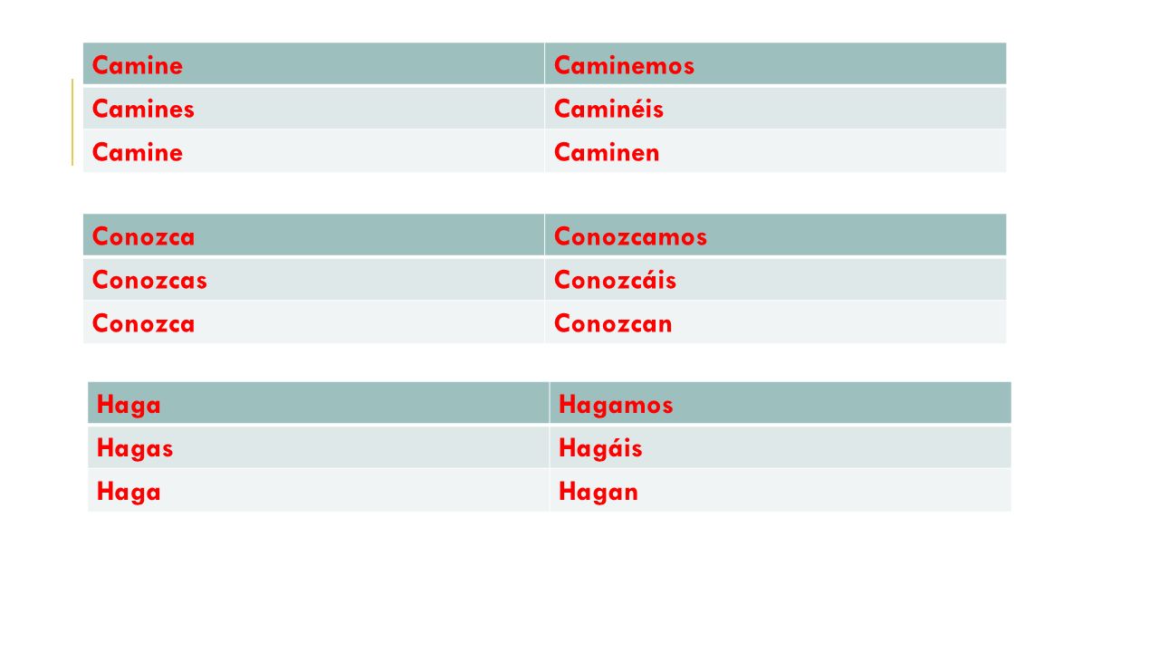 Camine Caminemos. Camines. Caminéis. Caminen. Conozca. Conozcamos. Conozcas. Conozcáis. Conozcan.