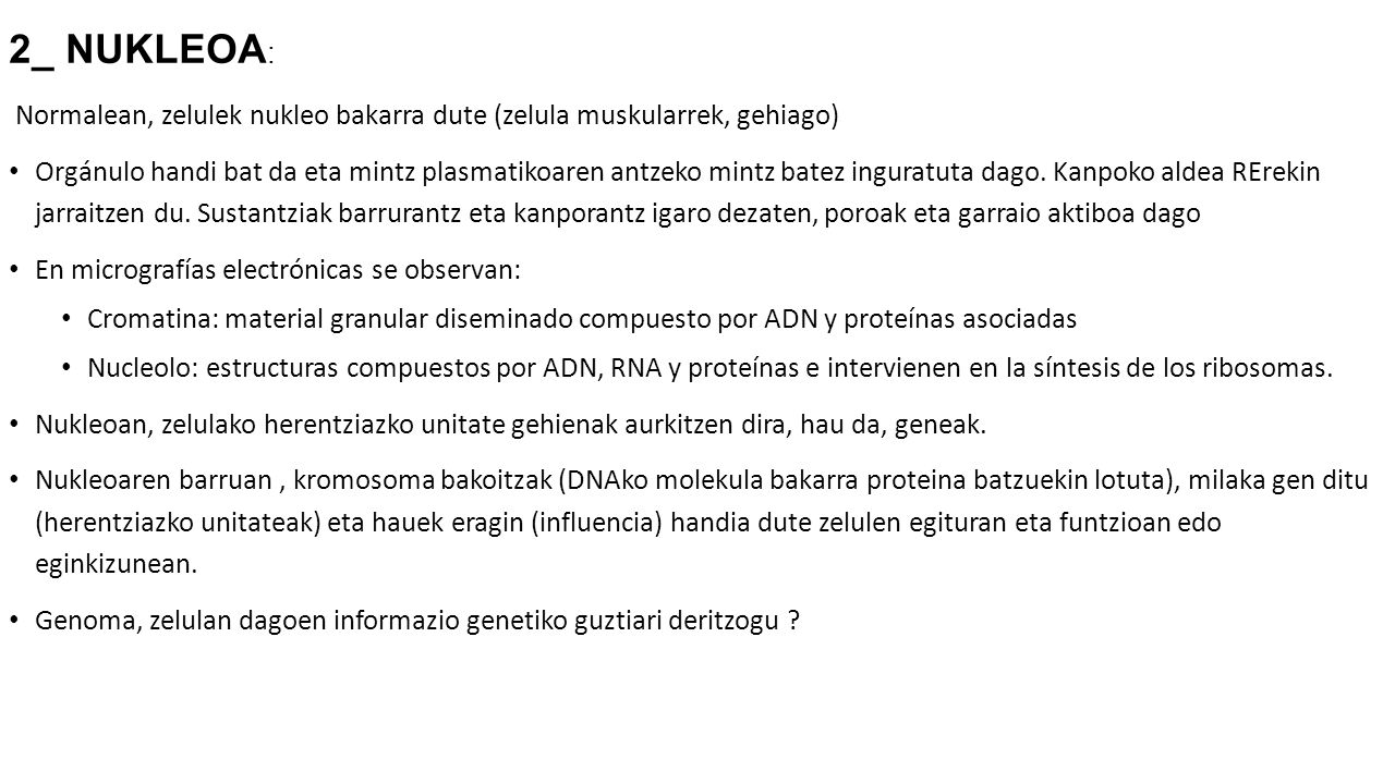 2_ NUKLEOA: Normalean, zelulek nukleo bakarra dute (zelula muskularrek, gehiago)