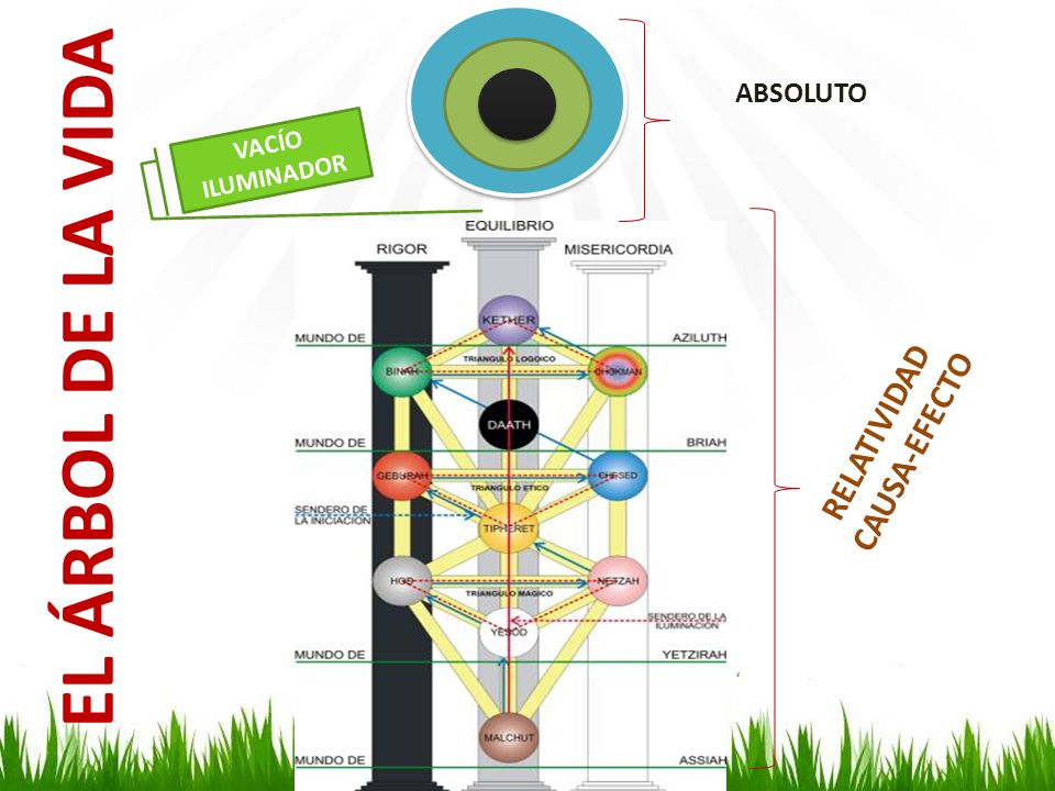 ABSOLUTO VACÍO ILUMINADOR EL ÁRBOL DE LA VIDA RELATIVIDAD CAUSA-EFECTO