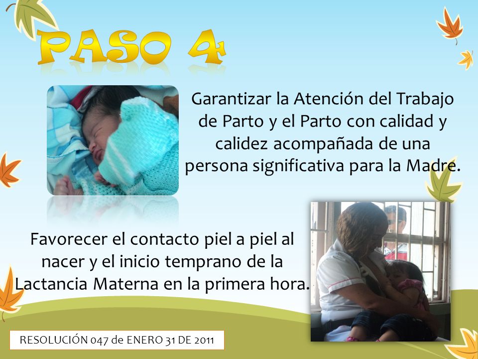 PASO 4 Garantizar la Atención del Trabajo de Parto y el Parto con calidad y calidez acompañada de una persona significativa para la Madre.