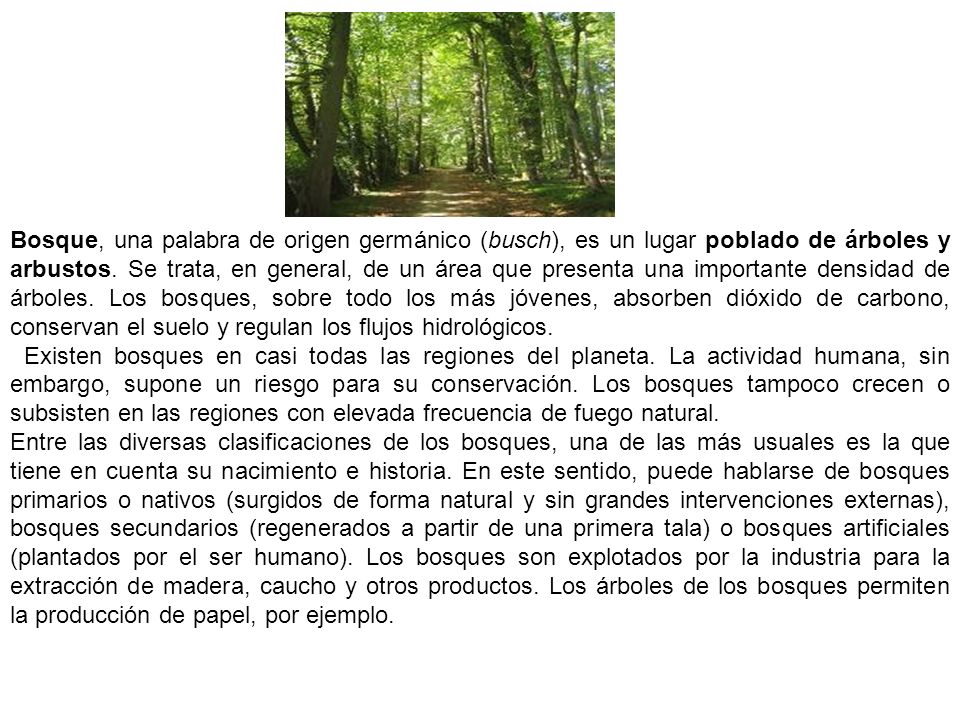 Bosque, una palabra de origen germánico (busch), es un lugar poblado de árboles y arbustos. Se trata, en general, de un área que presenta una importante densidad de árboles. Los bosques, sobre todo los más jóvenes, absorben dióxido de carbono, conservan el suelo y regulan los flujos hidrológicos.