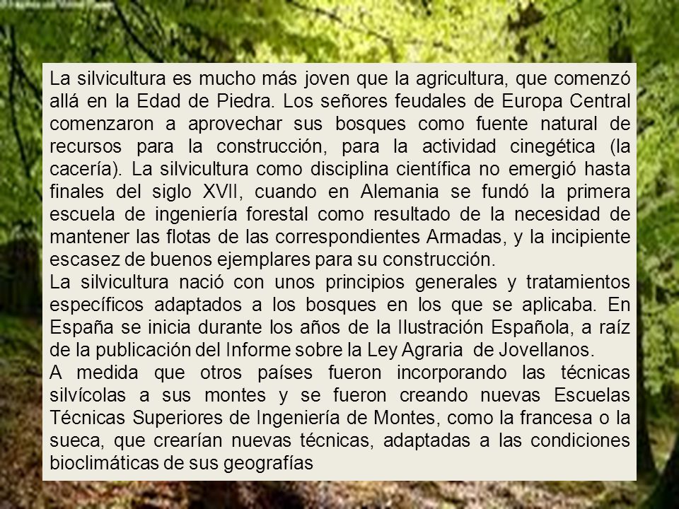 La silvicultura es mucho más joven que la agricultura, que comenzó allá en la Edad de Piedra. Los señores feudales de Europa Central comenzaron a aprovechar sus bosques como fuente natural de recursos para la construcción, para la actividad cinegética (la cacería). La silvicultura como disciplina científica no emergió hasta finales del siglo XVII, cuando en Alemania se fundó la primera escuela de ingeniería forestal como resultado de la necesidad de mantener las flotas de las correspondientes Armadas, y la incipiente escasez de buenos ejemplares para su construcción.