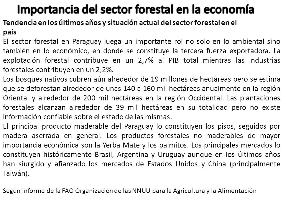 Importancia del sector forestal en la economía