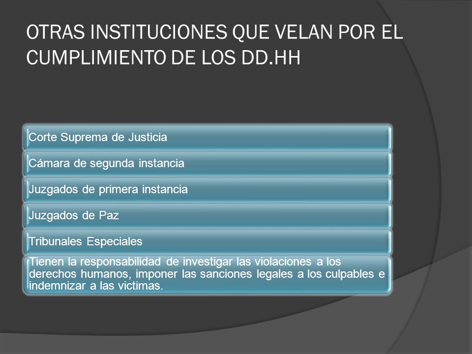 OTRAS INSTITUCIONES QUE VELAN POR EL CUMPLIMIENTO DE LOS DD.HH