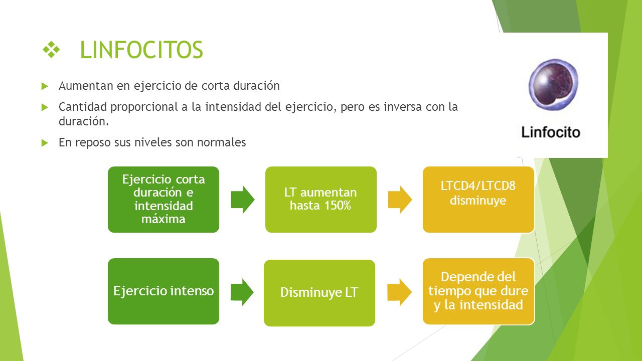 LINFOCITOS Aumentan en ejercicio de corta duración
