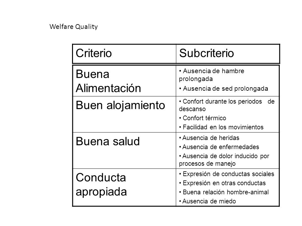Criterio Subcriterio Buena Alimentación Buen alojamiento Buena salud