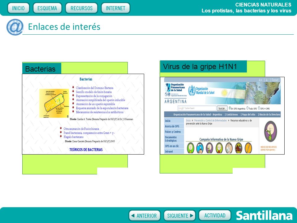 Enlaces de interés Virus de la gripe H1N1 Bacterias