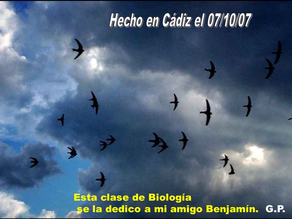 Hecho en Cádiz el 07/10/07 Esta clase de Biología se la dedico a mi amigo Benjamín. G.P.