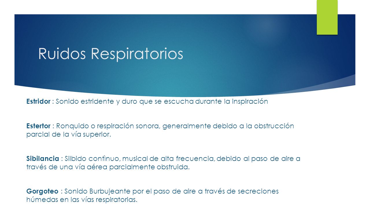 Ruidos Respiratorios Estridor : Sonido estridente y duro que se escucha durante la inspiración.