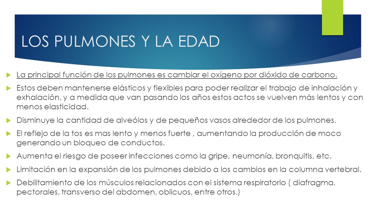 LOS PULMONES Y LA EDAD La principal función de los pulmones es cambiar el oxígeno por dióxido de carbono.