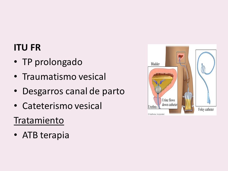 ITU FR TP prolongado. Traumatismo vesical. Desgarros canal de parto. Cateterismo vesical. Tratamiento.
