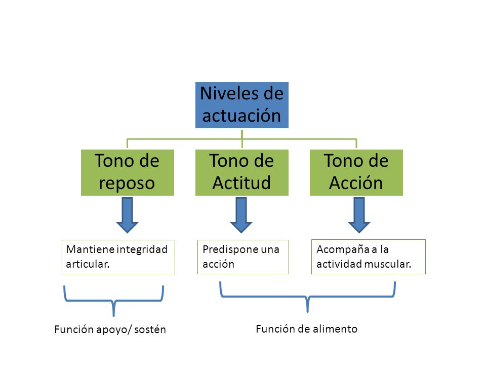 Niveles de actuación Tono de reposo Tono de Actitud Tono de Acción