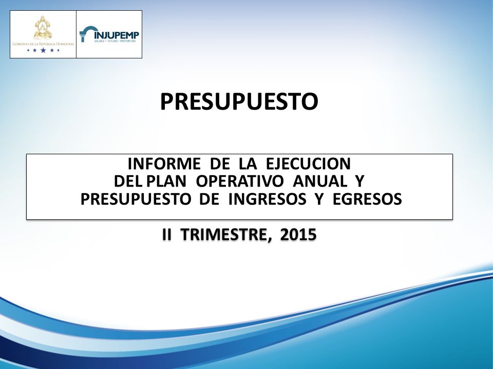 PRESUPUESTO INFORME DE LA EJECUCION DEL PLAN OPERATIVO ANUAL Y