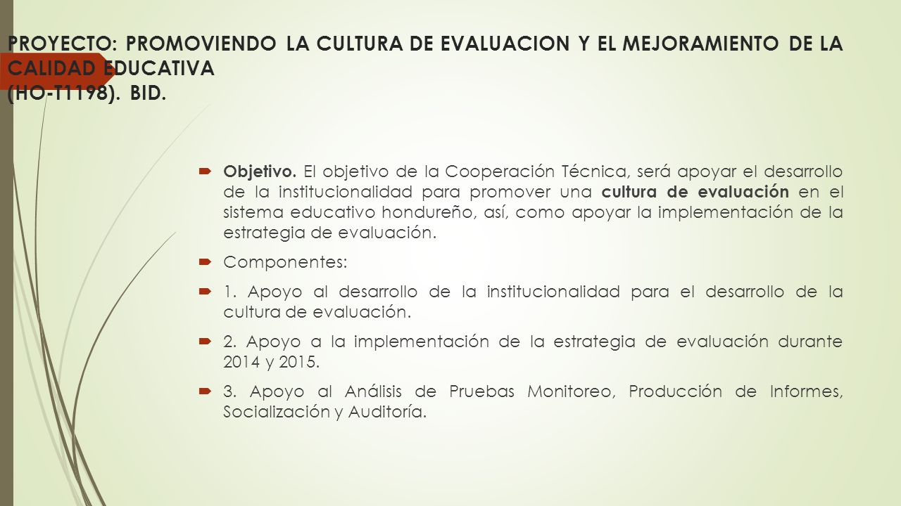 PROYECTO: PROMOVIENDO LA CULTURA DE EVALUACION Y EL MEJORAMIENTO DE LA CALIDAD EDUCATIVA (HO-T1198). BID.