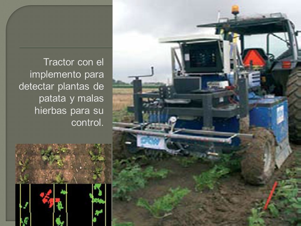 Tractor con el implemento para detectar plantas de patata y malas hierbas para su control.