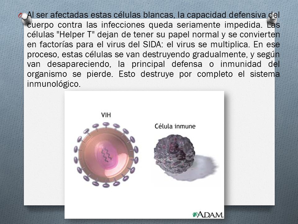 Al ser afectadas estas células blancas, la capacidad defensiva del cuerpo contra las infecciones queda seriamente impedida.
