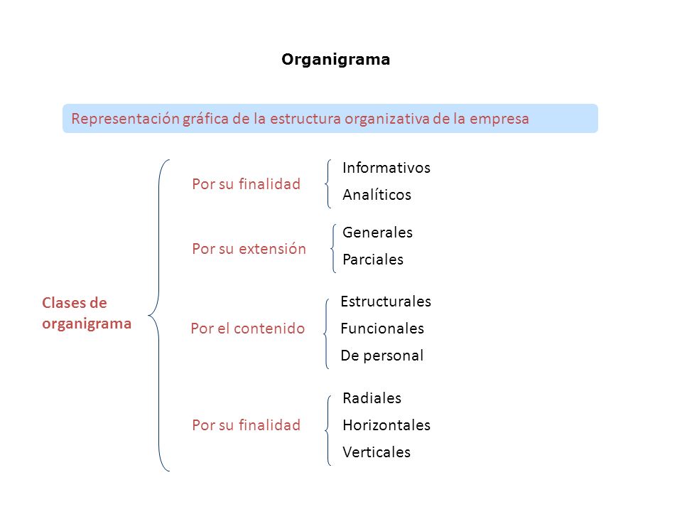 Representación gráfica de la estructura organizativa de la empresa