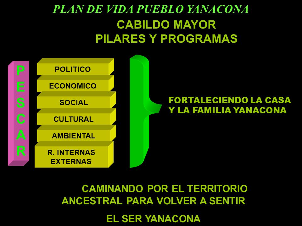 P E S C A R PLAN DE VIDA PUEBLO YANACONA