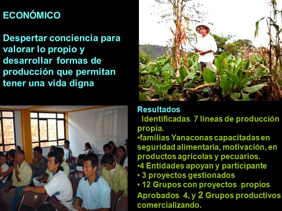 ECONÓMICO Despertar conciencia para valorar lo propio y desarrollar formas de producción que permitan tener una vida digna.