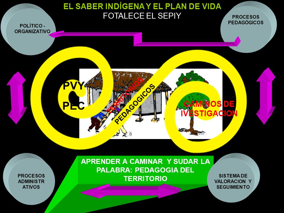 PVY PEC EL SABER INDÍGENA Y EL PLAN DE VIDA FOTALECE EL SEPIY