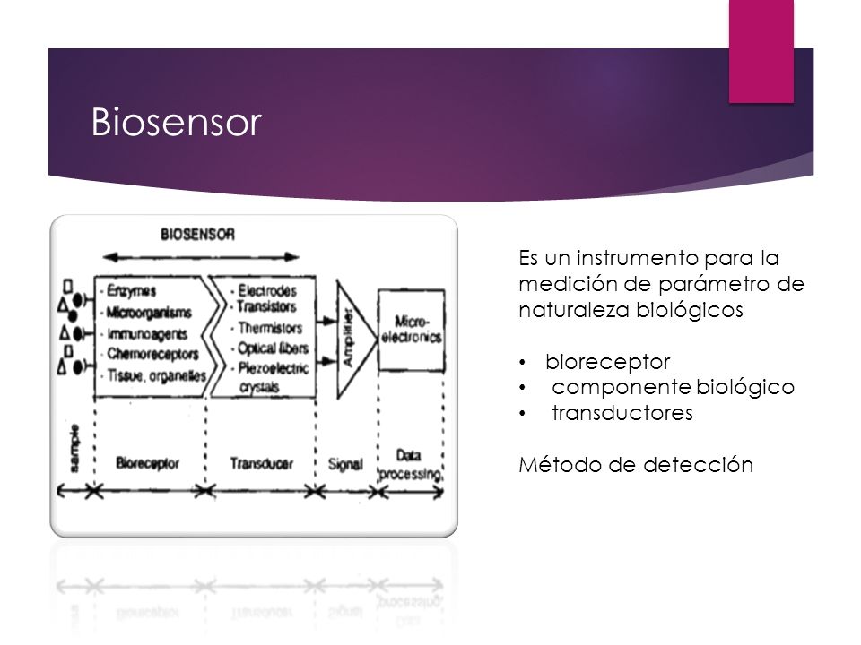 Biosensor Es un instrumento para la medición de parámetro de naturaleza biológicos. bioreceptor. componente biológico.