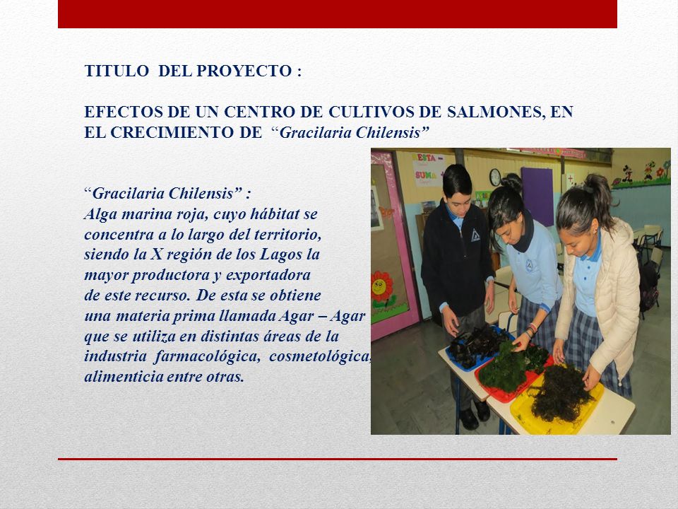 TITULO DEL PROYECTO : EFECTOS DE UN CENTRO DE CULTIVOS DE SALMONES, EN EL CRECIMIENTO DE Gracilaria Chilensis