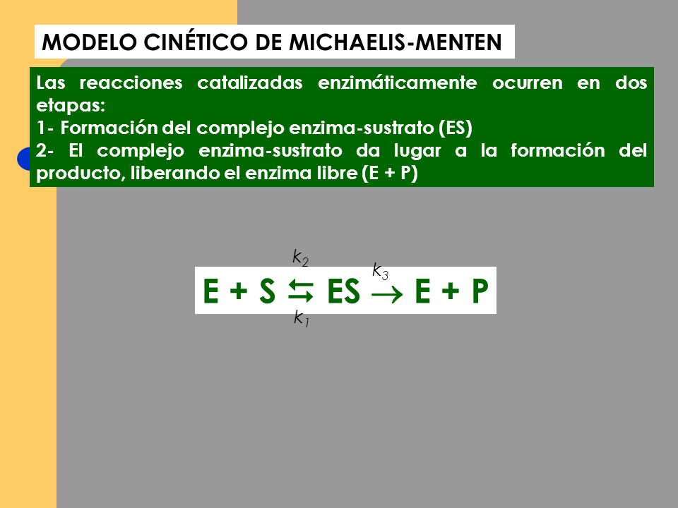 E + S  ES  E + P MODELO CINÉTICO DE MICHAELIS-MENTEN